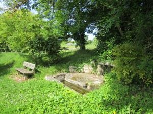 La fontaine