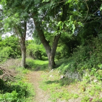 Le chemin derrière les maisons de Labadie