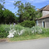 repère 11 - traversée du village de Labadie