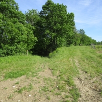 Descendre dans le bois à gauche