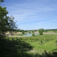 Joli plan d'eau en contrebas du GR6