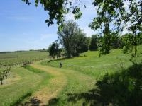 Circuits balades (à pied, à vélo) à Colombier