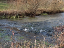 Le Coly brisant ses eaux