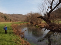 Le long du Coly