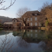 Le Coly piégé reflète son décor