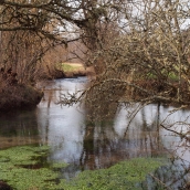 reflets sur l'eau