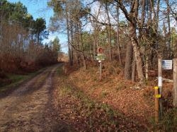 Vous quittez le GR 646 - remontez le chemin caillouteux