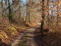 Circuits balades (à pied, à vélo) à Douzillac