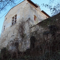 +P1120206
