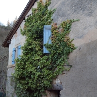 +P1120242