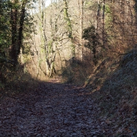 P1120228