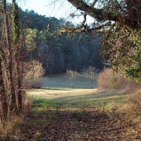 P1120230
