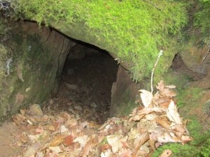 Le cluzeau 