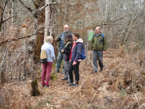 Groupe de marcheurs sur la tourbière de Laquin