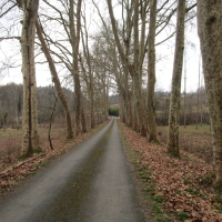 Balade d'Issac