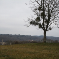 Balade d'Issac