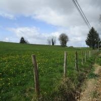 3 - Croisement vers Lembertie -  continuer tout droit