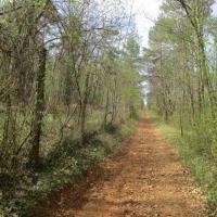 On remonte en longeant le grillage (sur votre gauche) d'une immense propriété
