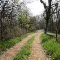 7 - on arrive sur la route qui mène au château d'eau