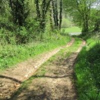 9 - on arrive sur la D703 qu'on emprunte à gauche pendant 200 m