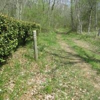 10 - A droite on suit le GR et ça monte dur !