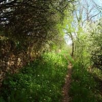 14 - On suit le petit chemin