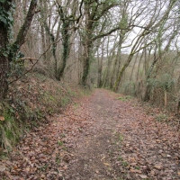 21 - Descente vers la fontaine