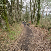 41 - Ca descend toujours