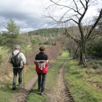 43 - Le paysage s'ouvre