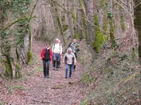 Balade en forêt