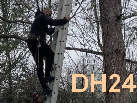 DH24 abattage élagage 