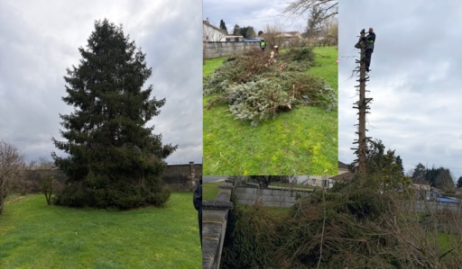 abattage_sapin_montage