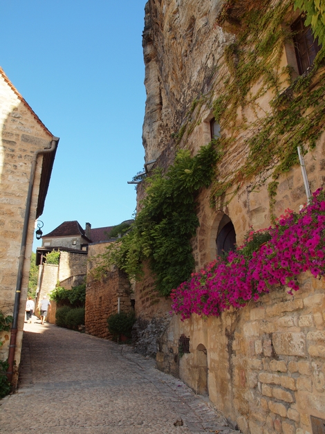 Végétation luxuriante à La Roque Gageac