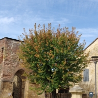 la porte de bergerac et la fontaine lalinde