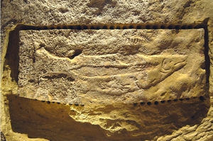 abri du poisson