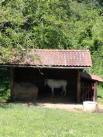 La Bastide de Molières : des balades nature