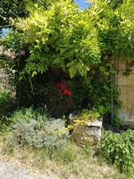 La Bastide de Molières : bien fleurie