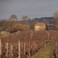 Le château de Monbazillac