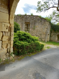 Vue sur la cour