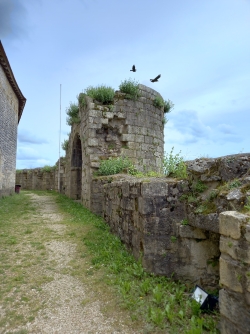 les remparts du chateau excideuil