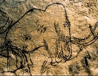 Patrimoine - grotte ornée de Rouffignac