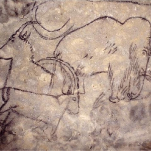La grotte de Rouffignac en Dordogne