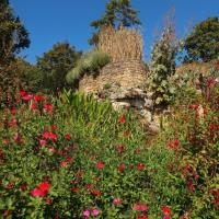 La fontaine du jardin