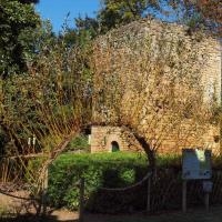 Les vestiges du château médiéval