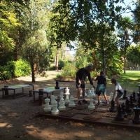 Des jeux pour les petits et les grands