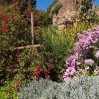 Les merveilles de dame Nature