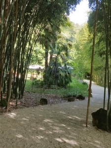La Bambousaie