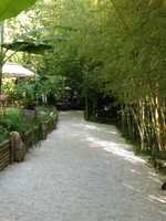 La Bambousaie - Photo 4