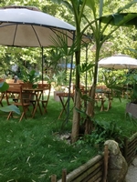 La Bambousaie - Photo 5