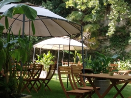 La Bambousaie - Photo 6